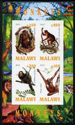 Malawi 2010 Monkeys imperf sheetlet containing 4 values unmounted mint