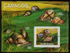 Guinea - Bissau 2009 Snails of Africa perf s/sheet unmounted mint Michel BL 690