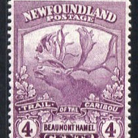 Newfoundland 1919 Caribou 4c mouve lightly mounted mint, SG 133