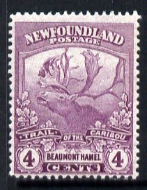 Newfoundland 1919 Caribou 4c mouve lightly mounted mint, SG 133