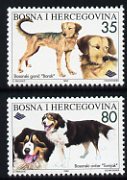 Bosnia & Herzegovina 1996 Dogs set of 2 (Barak & Tornjak) unmounted mint, SG 507-08