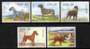 Ireland 1983 Irish Dogs set of 5 unmounted mint, SG 558-62