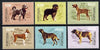 Portugal 1981 50th Anniversary of Kennel Club of Portugal set of Dogs unmounted mint, SG 1832-37
