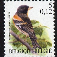 Belgium 2000-01 Birds #4 Brambling 5f/0.12 Euro dual currency unmounted mint, SG 3541