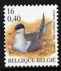 Belgium 2000-01 Birds #4 Common Tern 16f/0.40 Euro dual currency unmounted mint, SG 3546