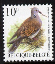 Belgium 1996-99 Birds #3 Turtle Dove 10f unmounted mint, SG 3312