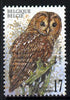 Belgium 1999 Tawny Owl (Strix aluco) 17f unmounted mint SG 3479