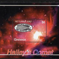 Grenada 2007 Halley's Comet Returns 2062 perf m/sheet unmounted mint, SG MS5286