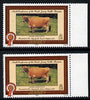 Jersey 1979 Cattle 25p with gold printing doubled with normal, both unmounted mint SG 203a