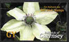 Guernsey 2004 Raymond Evison's Clematis £2.20 booklet containing 10 x G self adhesive labels, SG SB73