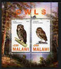 Malawi 2010 Owls perf sheetlet containing 2 values unmounted mint