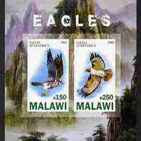 Malawi 2010 Eagles imperf sheetlet containing 2 values unmounted mint