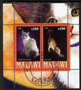 Malawi 2010 Domestic Cats #01 perf sheetlet containing 2 values fine cto used
