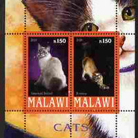 Malawi 2010 Domestic Cats #01 perf sheetlet containing 2 values unmounted mint