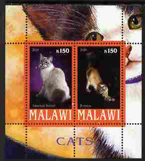 Malawi 2010 Domestic Cats #01 perf sheetlet containing 2 values unmounted mint