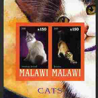 Malawi 2010 Domestic Cats #01 imperf sheetlet containing 2 values unmounted mint