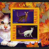 Malawi 2010 Domestic Cats #02 imperf sheetlet containing 2 values unmounted mint