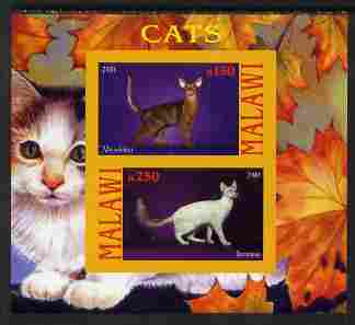 Malawi 2010 Domestic Cats #02 imperf sheetlet containing 2 values unmounted mint