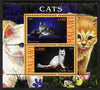 Malawi 2010 Domestic Cats #04 perf sheetlet containing 2 values unmounted mint