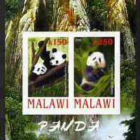 Malawi 2010 Pandas imperf sheetlet containing 2 values unmounted mint