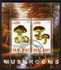 Malawi 2010 Mushrooms perf sheetlet containing 2 values fine cto used