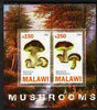 Malawi 2010 Mushrooms perf sheetlet containing 2 values unmounted mint