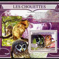 Guinea - Conakry 2009 Owls perf s/sheet unmounted mint