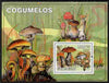 Guinea - Bissau 2010 Mushrooms perf s/sheet unmounted mint
