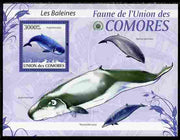 Comoro Islands 2009 Whales perf s/sheet unmounted mint Yv 197