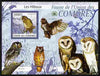 Comoro Islands 2009 Owls perf s/sheet unmounted mint Yv 200