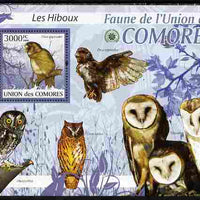 Comoro Islands 2009 Owls perf s/sheet unmounted mint Yv 200
