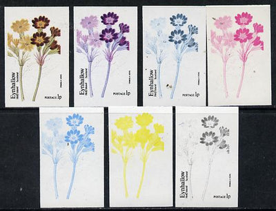 Eynhallow 1974 Flowers #01 - 1p (Primula) set of 7 imperf progressive colour proofs comprising the 4 individual colours plus 2, 3 and all 4-colour composites unmounted mint