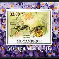Mozambique 2009 William Kirby Butterflies & Insects #2 individual imperf deluxe sheetlet unmounted mint. Note this item is privately produced and is offered purely on its thematic appeal