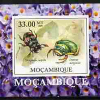 Mozambique 2009 William Kirby Butterflies & Insects #5 individual imperf deluxe sheetlet unmounted mint. Note this item is privately produced and is offered purely on its thematic appeal