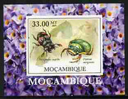 Mozambique 2009 William Kirby Butterflies & Insects #5 individual imperf deluxe sheetlet unmounted mint. Note this item is privately produced and is offered purely on its thematic appeal