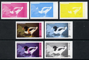 Staffa 1974 Water Birds #01 Shelduck 2.5p set of 7 imperf progressive colour proofs comprising the 4 individual colours plus 2, 3 and all 4-colour composites unmounted mint