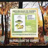 Guinea - Conakry 2009 Fungi on Stamps #1 individual imperf deluxe sheetlet unmounted mint. Note this item is privately produced and is offered purely on its thematic appeal