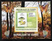 Guinea - Conakry 2009 Fungi on Stamps #1 individual imperf deluxe sheetlet unmounted mint. Note this item is privately produced and is offered purely on its thematic appeal