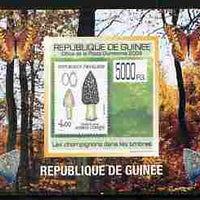 Guinea - Conakry 2009 Fungi on Stamps #2 individual imperf deluxe sheetlet unmounted mint. Note this item is privately produced and is offered purely on its thematic appeal