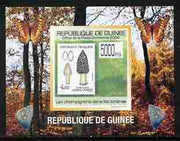 Guinea - Conakry 2009 Fungi on Stamps #2 individual imperf deluxe sheetlet unmounted mint. Note this item is privately produced and is offered purely on its thematic appeal
