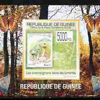 Guinea - Conakry 2009 Fungi on Stamps #3 individual imperf deluxe sheetlet unmounted mint. Note this item is privately produced and is offered purely on its thematic appeal
