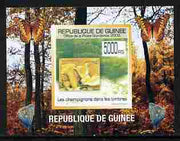 Guinea - Conakry 2009 Fungi on Stamps #4 individual imperf deluxe sheetlet unmounted mint. Note this item is privately produced and is offered purely on its thematic appeal