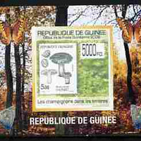 Guinea - Conakry 2009 Fungi on Stamps #5 individual imperf deluxe sheetlet unmounted mint. Note this item is privately produced and is offered purely on its thematic appeal
