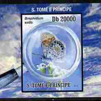 St Thomas & Prince Islands 2010 Butterflies #1 individual imperf deluxe sheetlet unmounted mint. Note this item is privately produced and is offered purely on its thematic appeal