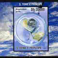 St Thomas & Prince Islands 2010 Butterflies #2 individual imperf deluxe sheetlet unmounted mint. Note this item is privately produced and is offered purely on its thematic appeal