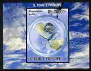 St Thomas & Prince Islands 2010 Butterflies #2 individual imperf deluxe sheetlet unmounted mint. Note this item is privately produced and is offered purely on its thematic appeal