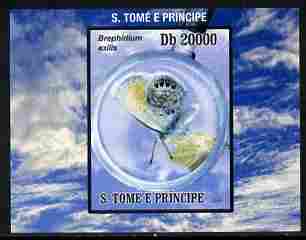St Thomas & Prince Islands 2010 Butterflies #2 individual imperf deluxe sheetlet unmounted mint. Note this item is privately produced and is offered purely on its thematic appeal