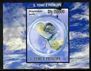 St Thomas & Prince Islands 2010 Butterflies #2 individual imperf deluxe sheetlet unmounted mint. Note this item is privately produced and is offered purely on its thematic appeal