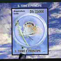 St Thomas & Prince Islands 2010 Butterflies #4 individual imperf deluxe sheetlet unmounted mint. Note this item is privately produced and is offered purely on its thematic appeal