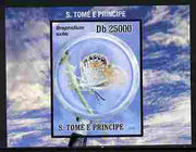 St Thomas & Prince Islands 2010 Butterflies #4 individual imperf deluxe sheetlet unmounted mint. Note this item is privately produced and is offered purely on its thematic appeal